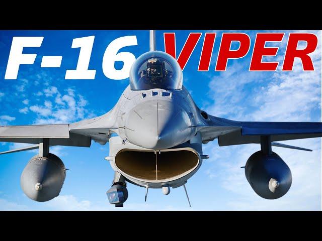 Thunderbird Fighter Pilot Reacts to Advanced F-16 Simulator | DCS