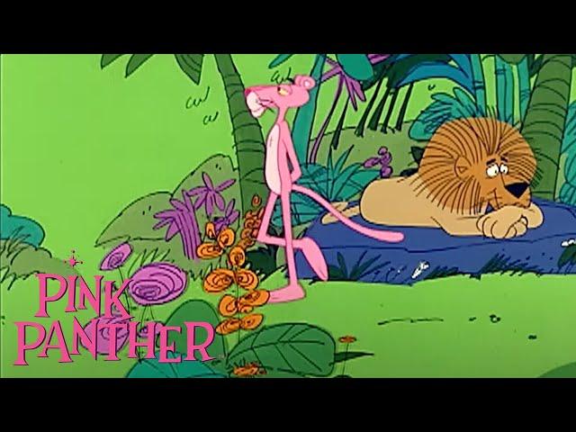 Pink Panther Goes To The Jungle! | 35-Minute Compilation | Pink Panther Show