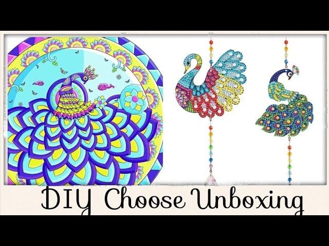 DIY Choose Unboxing