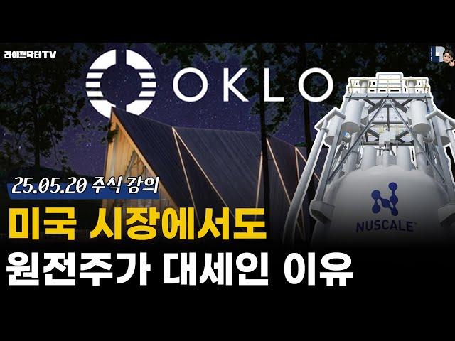미국 시장에서도 원전주가 대세인 이유 | 오클로, 뉴스케일파워