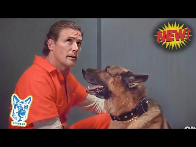 Hudson & Rex Season 2024 | Doghouse - Charlie and Rex investigate the death of an inmate.