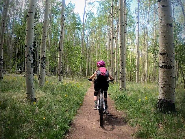 Colorado Trail - Kenosha Pass East