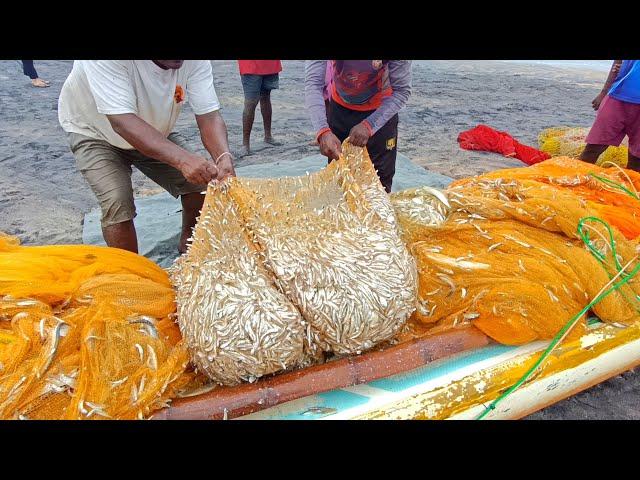  Woow!! Amazing !! Million 4k of fish catching unbelievable fishing video @fishnegombo