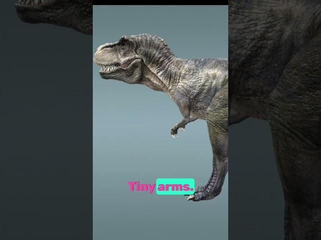 Most dangerous dinosaur T-Rex #dinosaur #trex #animation #3danimation #zackdfilms