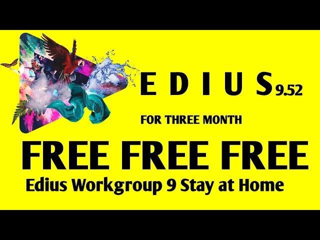 Edius Workgroup 9 Stay at Home