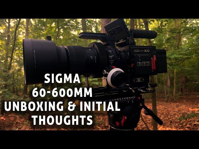 Sigma 60-600mm Lens Unboxing | Why I Got This Lens | Initial Thoughts | Wildlife Samples