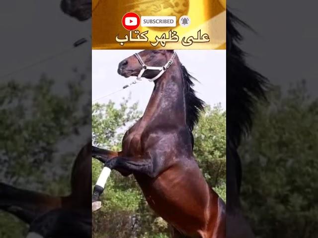 الحقد أحسن المعلمين! | من اروع اقتباسات واقوال عبد الرحمن منيف | على ظهر كتاب