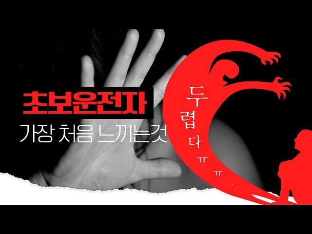 운전을 처음할때 느끼는것 - 두려움