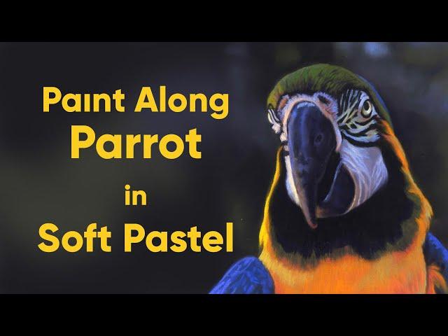 Real Time 'Paint Along' Parrot in Soft Pastel