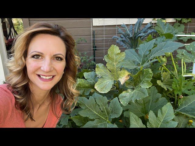 LAST GARDEN TOUR OF THE YEAR: Mystery Gardening