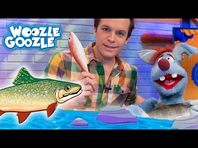 Welche Tiere leben in einem Fluss? l WOOZLE GOOZLE