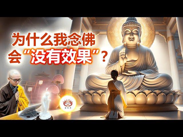 为什么我念佛会「没有效果」？ | 净本法师 主讲