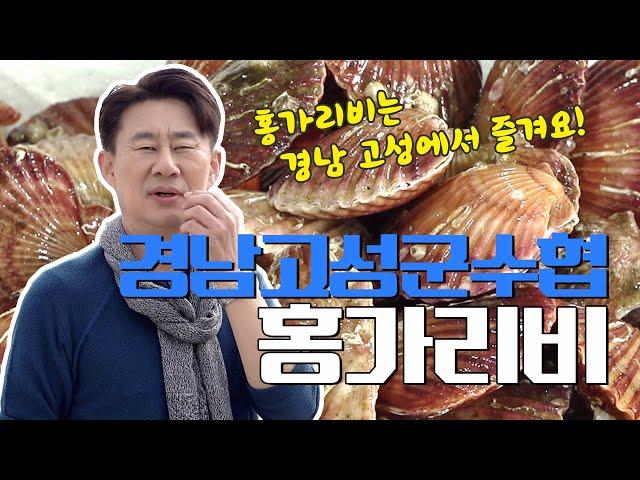 [漁서오이소] 가리비 박사 남스타가 찾은 경남고성 바다의 보물, 홍가리비를 소개할게요!️