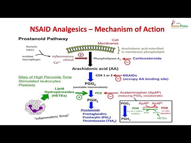 Analgesics and antiinflammatory agents_12-11-18