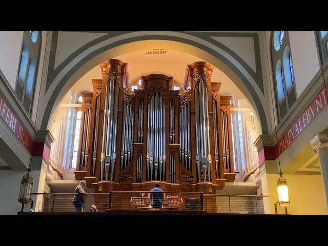 This HUGE organ made my ears HURT! The Noack organ in Saint Peter’s on Capitol Hill