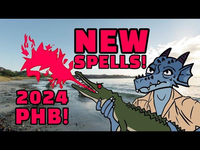 New Spells and Spell rules in D&D 2024 Player's Handbook!