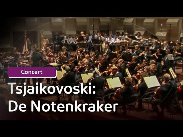 Tsjaikovski - De Notenkraker | Concert