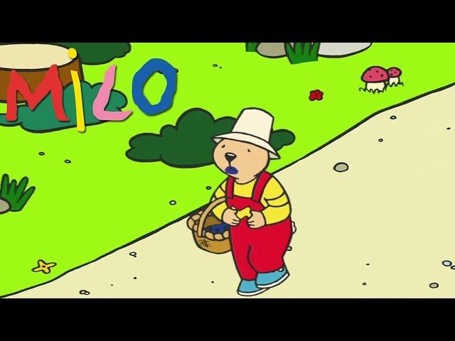 Milo - Milo's indigestion | Cartoon for kids