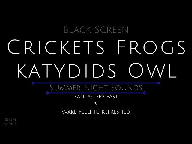 Black Screen 10 Hours - Crickets - Frogs - Katydids - Owl - Cricket Sounds for Sleeping