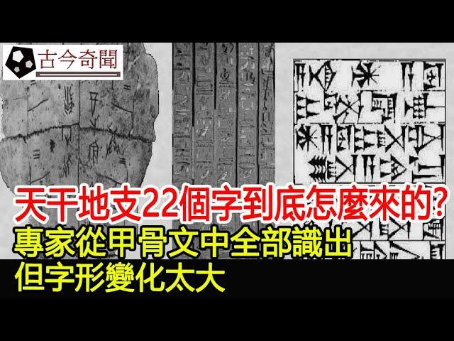 天干地支22個字到底怎麼來的？專家從甲骨文中全部識出，但字形變化太大︱考古︱奇聞︱文物︱國寶#古今奇聞