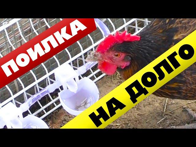 Дешевая поилка для кур Это лучшая автопоилка что я встречал!