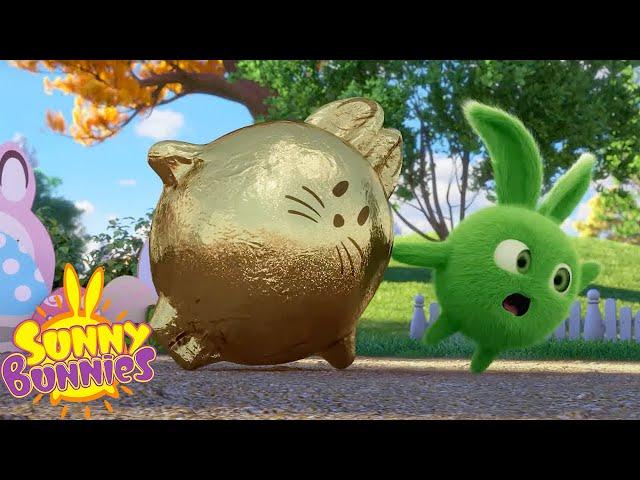GOLDEN EASTER CHOCOLATE EGGS - SUNNY BUNNIES | Season 5 Compilation | Cartoons for Kids