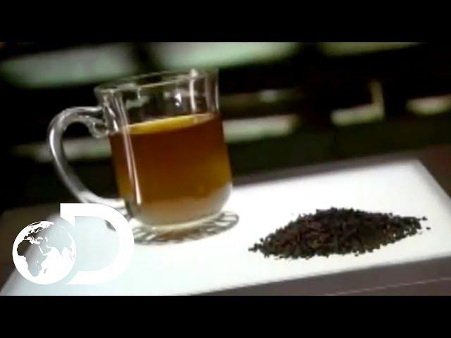 Tea | How It's Made