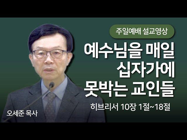 예수님을 매일 십자가에 못박는 교인들(히브리서 10장 1절~18절) 주일예배 새누리교회 오세준목사 2024. 3. 3