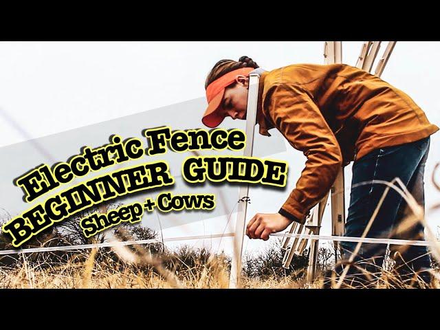 HOW TO INSTALL ELECTRIC FENCE FOR SHEEP AND COWS