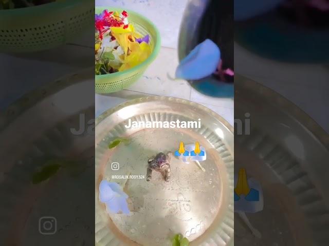janmashtami puja