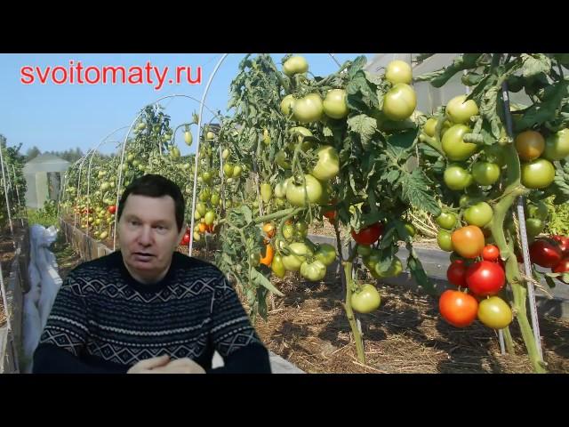 Анонс прямого эфира