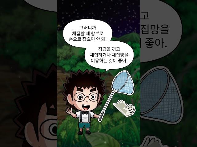 [에그박사의 채집일기 4] #shorts