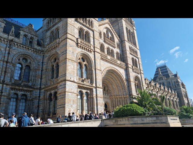 Natural History Museum, London | Full 4k Walkthrough Tour August 2023 |