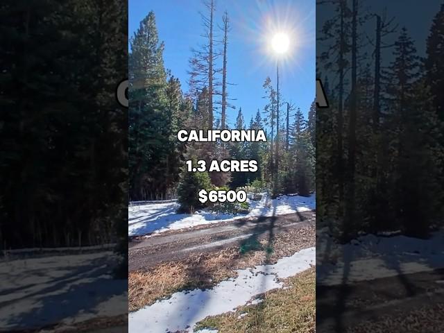 1.3 Acres for Sale in Alturas,  California for $6,500 #land #property #investing #cheap #shorts