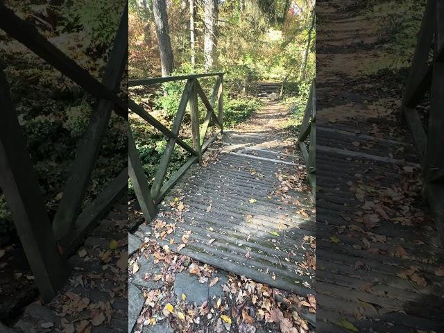 Ask your angels for a spiritual bridge to your destination #psychicenergy #tarotreader angel