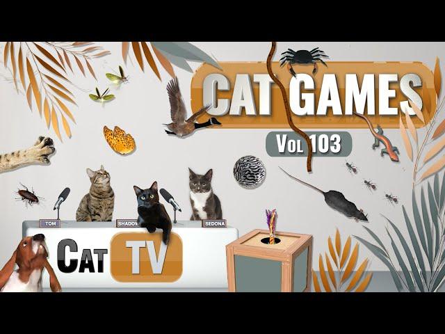 CAT Games | Ultimate Cat TV Compilation Vol 103 | 6 HOURS  