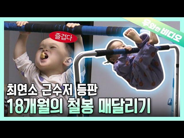 A 18-Month-Old Baby's Chin-Up Bar Playtime