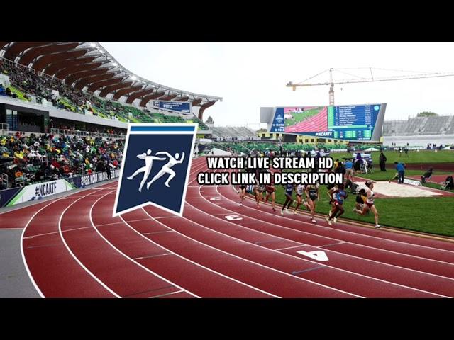 SUNY Cortland Red Dragon Open & Multi | Outdoor Track and Field Live Stream 2023