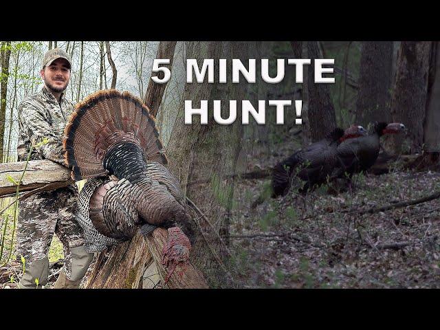 THE FASTEST TURKEY HUNT EVER! (West Virginia Opening Day)