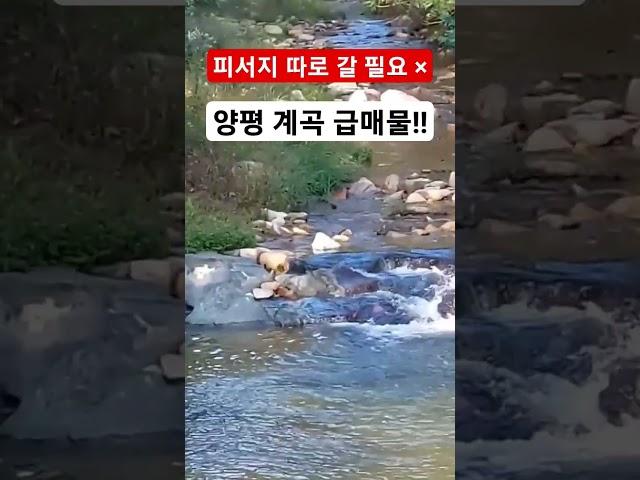 넓은 계곡이 내 집앞에! 양평 전원주택 초급매~ 다시 오지않을 매물