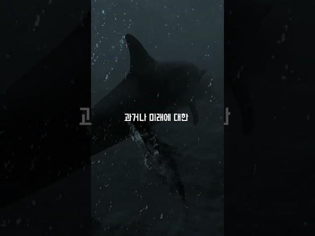 법정스님 지혜 | 행복한 인생 위한 조언 | 동기부여