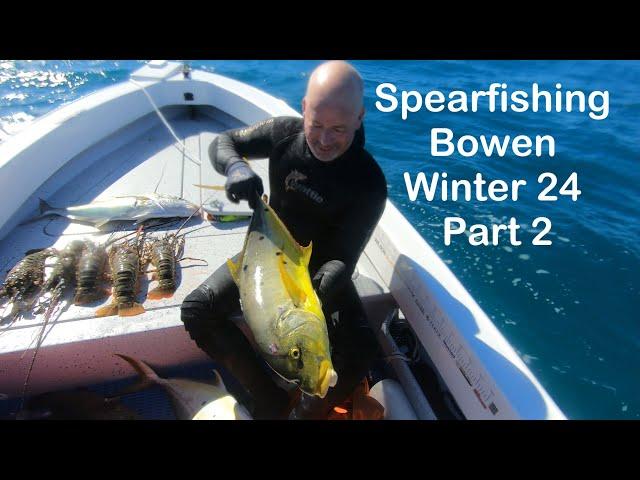 Spearfishing Bowen Winter 24 Part 2