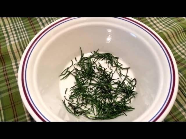 Drying Rosemary Using Your Microwave...Simple Living