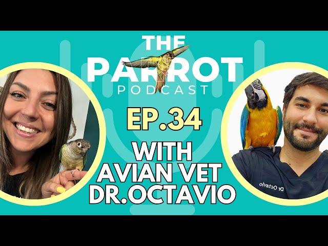 Avian Vet Tips for Healthy Parrots! | The Parrot Podcast #34