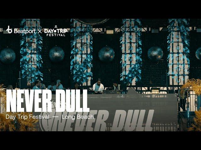 Never Dull - Day Trip Festival 2024 | @beatport Live