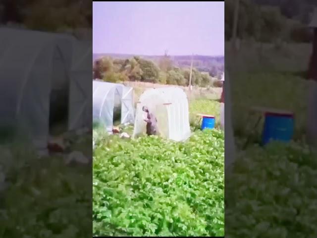 Что то страшное происходит при грозе