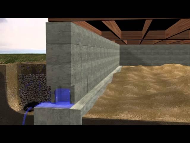 The Most Common Ways Water Enters a Crawlspace