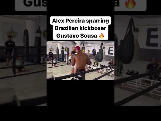 ALEX PEREIRA sparring Brazilian kickboxer GUSTAVO SOUSA