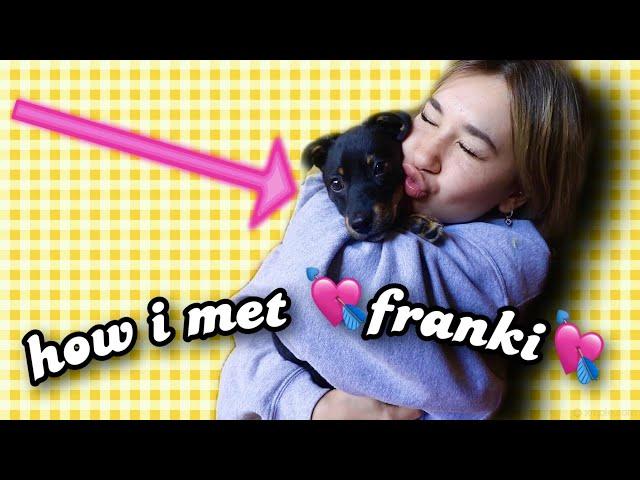 I GOT A PUPPY! *Story Time*