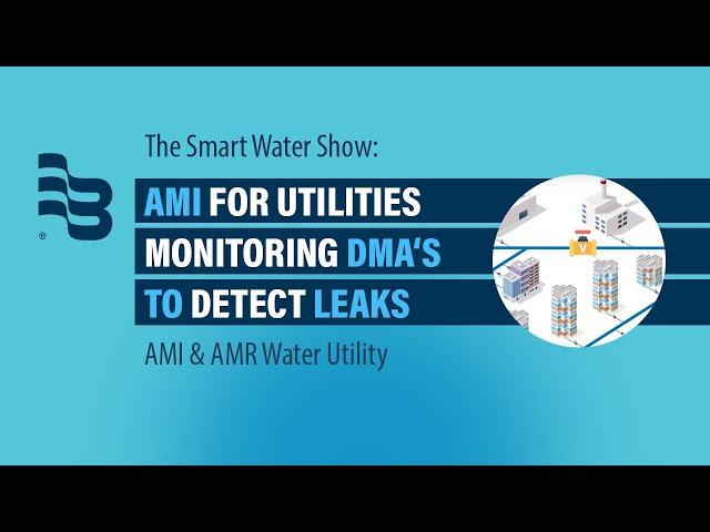 AMI for Utilities Monitoring DMA's to Detect Leaks  | The Smart Water Show - Ep 9